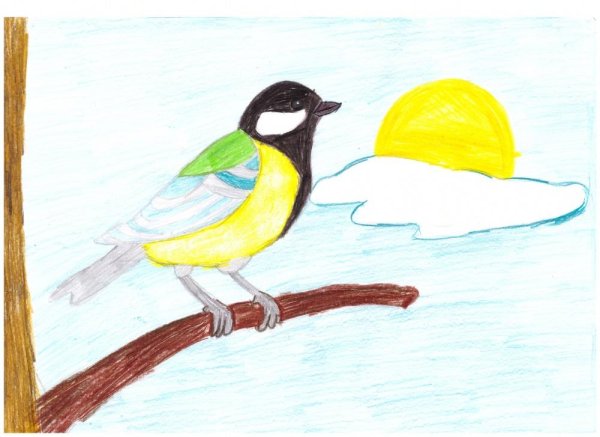 Рисование птицы синицы