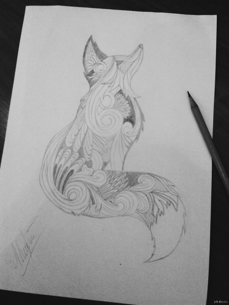Лиса карандашом для срисовки