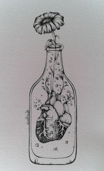 Бутылка эскиз
