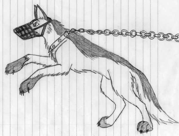 Рисунки злых собак для срисовки