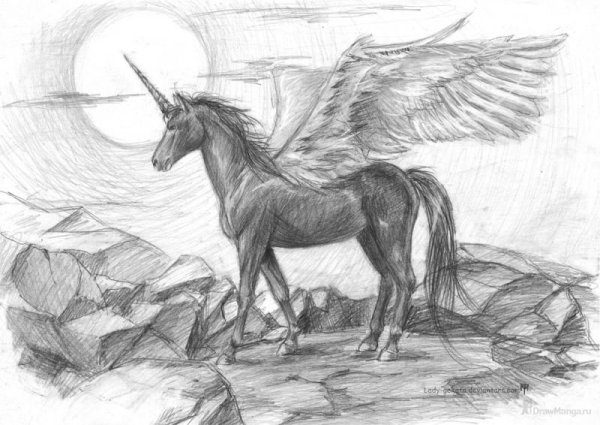 Картины карандашом для срисовывания