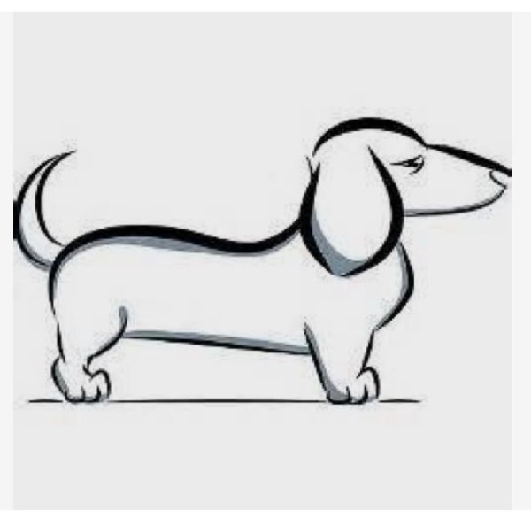 Рисование таксы