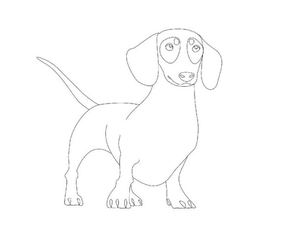 Рисунок таксы карандашом для срисовки