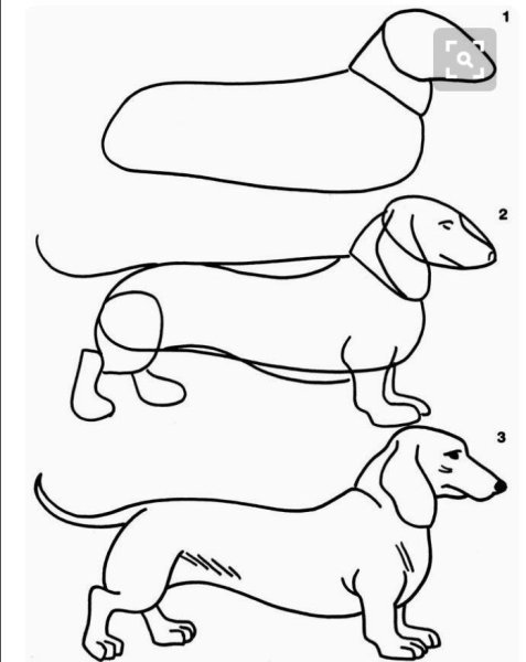 Такса набросок