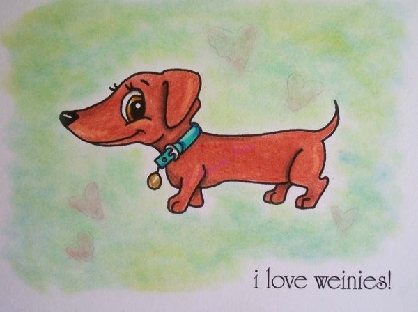 Такса рисунок детский