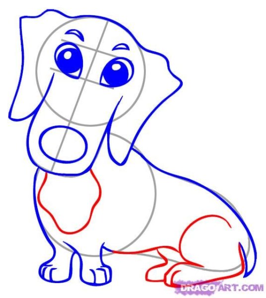 Такса рисунок карандашом