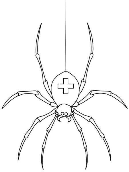 Нарисовать паука