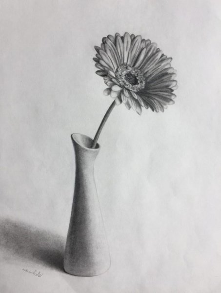 Натюрморт с цветами карандашом