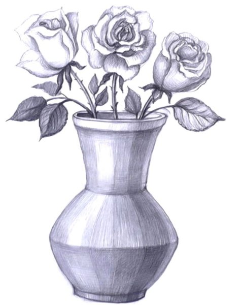 Натюрморт ваза с цветами карандашом