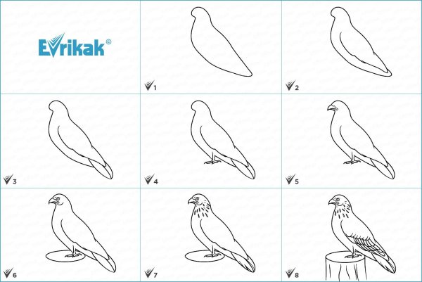 Орео карандашом рисунок