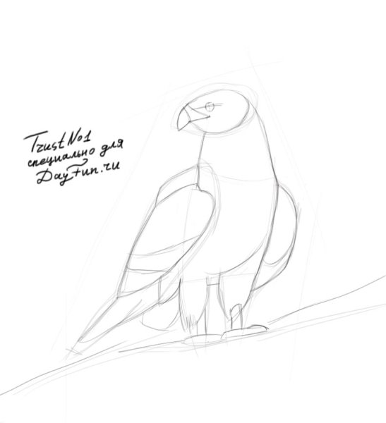 Сокол карандашом