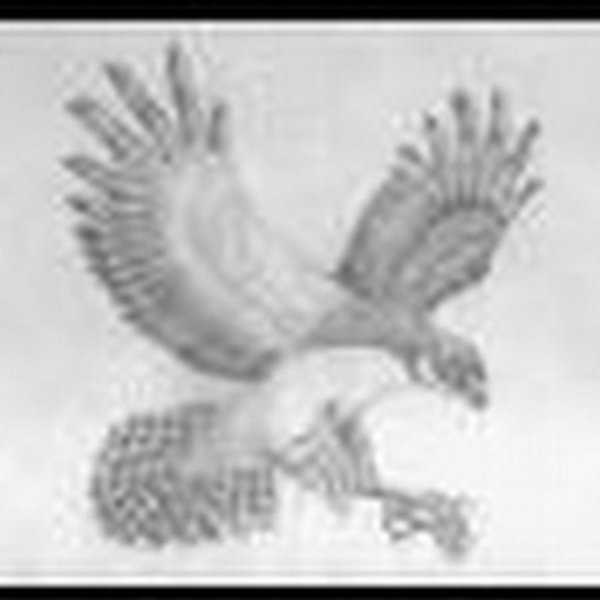 Финист Ясный Сокол разукрашка