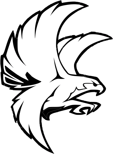 Нарисовать орла в полете