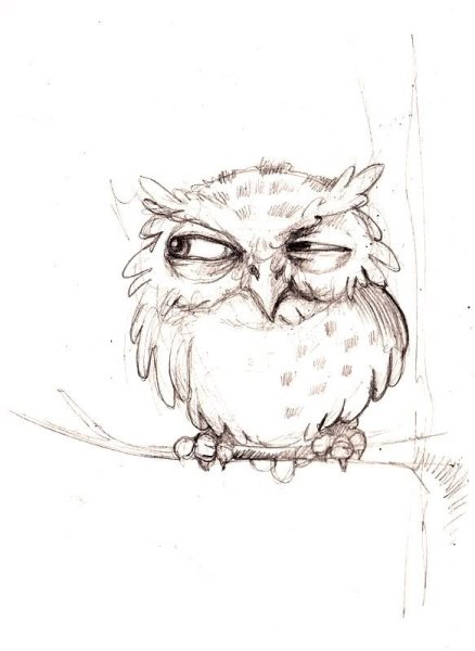 Сова скетч
