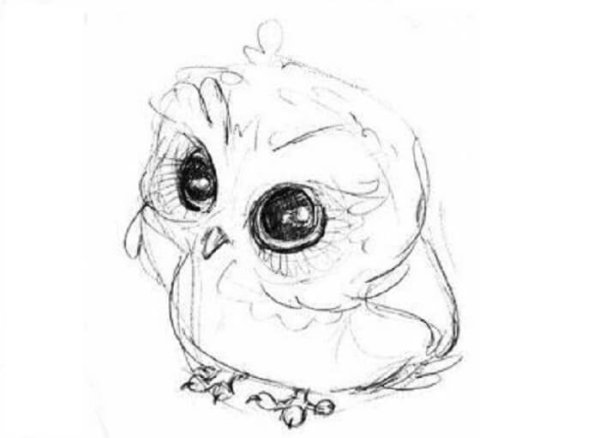 Совушка карандашом для срисовки