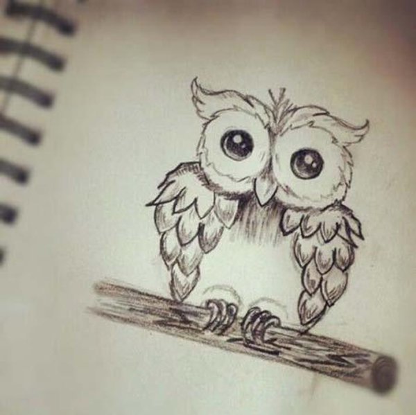 Сова для срисовки лёгкая