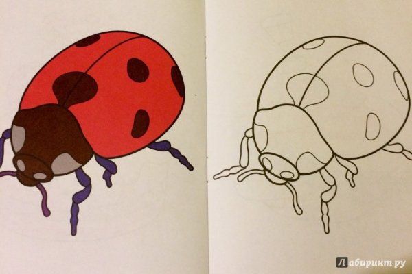 Рисунки для срисовки Божья коровка