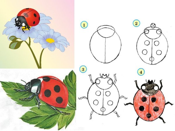 Божья коровка рисунок для детей