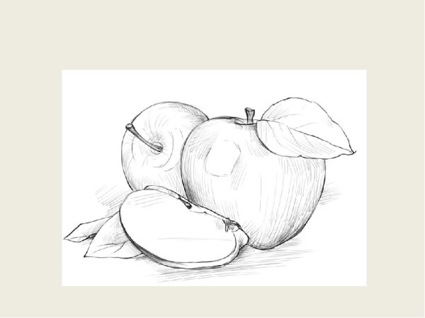 Натюрморт карандашом