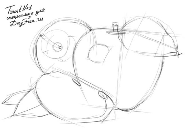 Натюрморт из фруктов карандашом