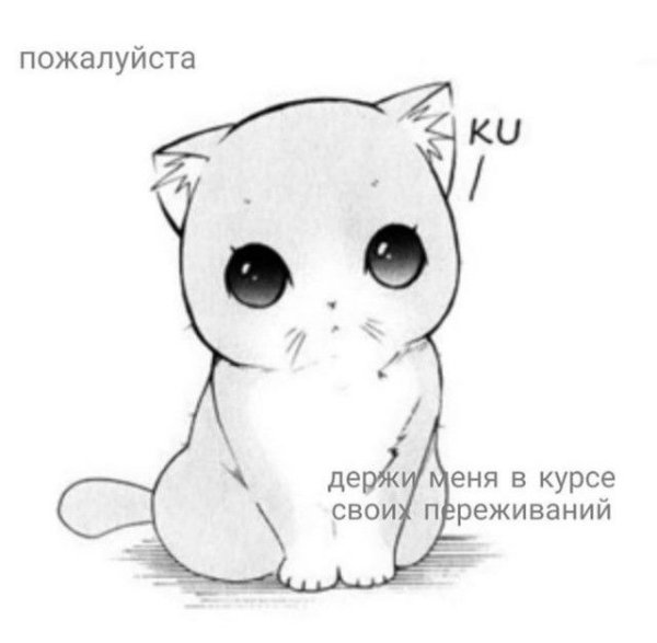 Рисунки карандашом для срисовки котики