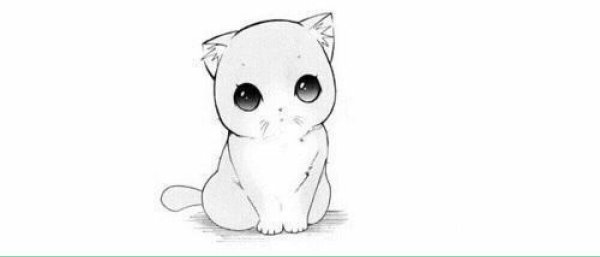 Милые котята рисунки карандашом