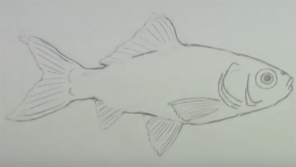 Рыбка карандашом