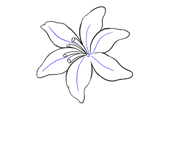 Маленькие цветы карандашом