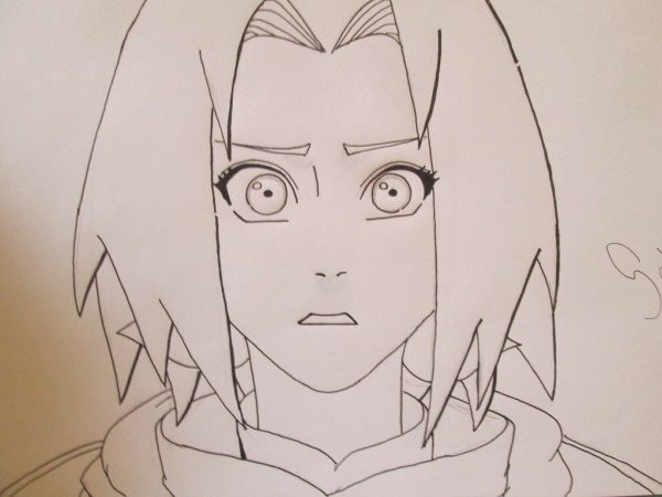 Сакура Чан для срисовки