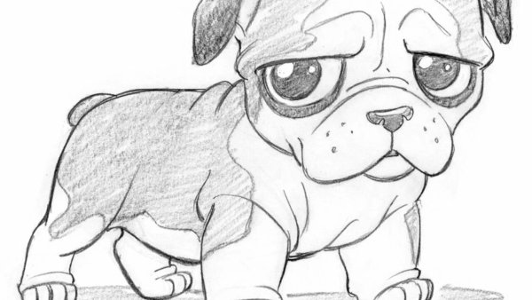 Рисунки карандашом для срисовки прикольные