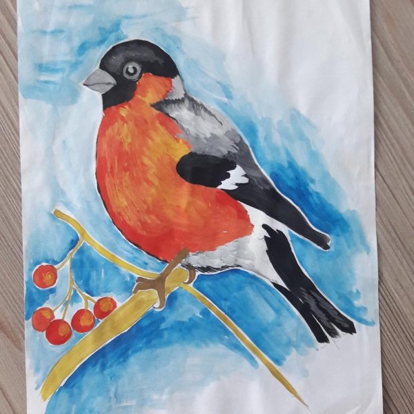 Снегирь раскраска