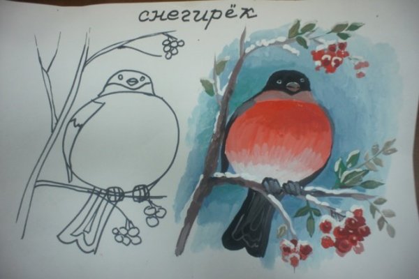 Снегирь для рисования малышам