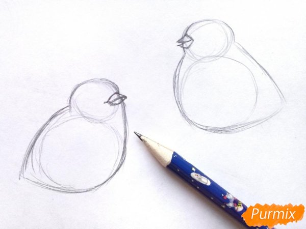 Снегирь рисунок для детей