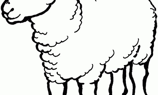 Поэтапное рисование jdtxrbдля детей