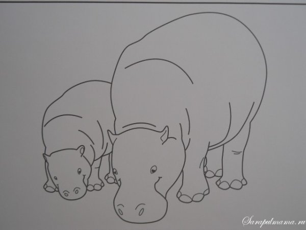 Бегемотик рисунок карандашом легкий