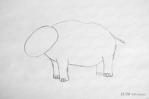 Овца поэтапное рисование