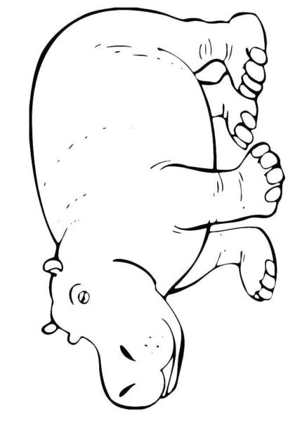 Бегемот рисунок