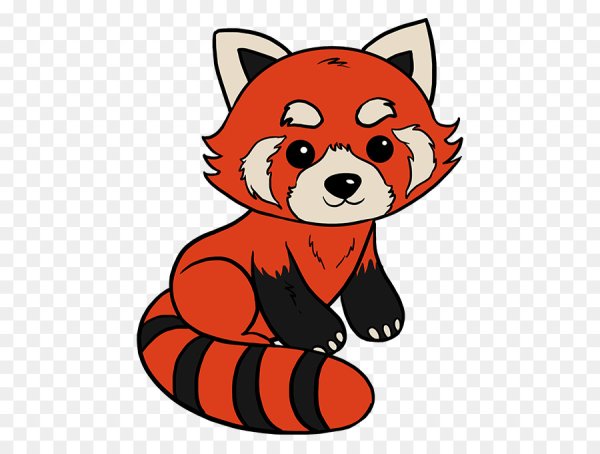 Красная Панда