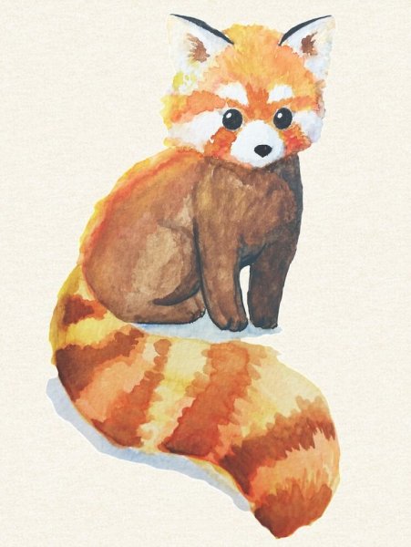 Красная Панда рисунок пошагово