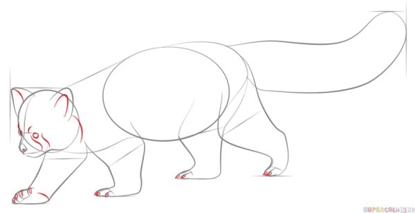 Красная Панда рисунок карандашом