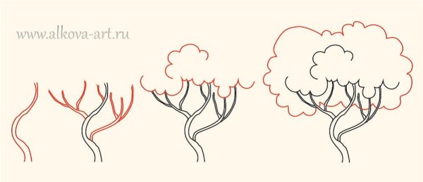 Как нарисовать куст