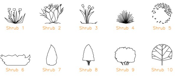 Кустарники пошагово