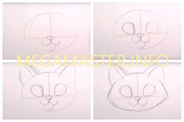 Поэтапное рисование морды кота