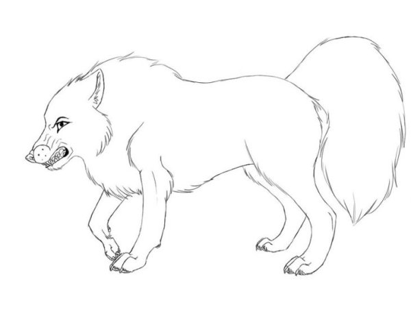 Красный волк раскраска