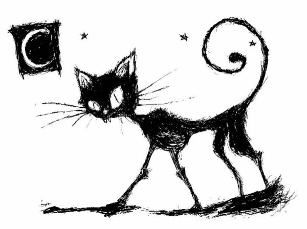 Котик рисунок