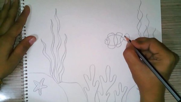 Как нарисовать кораллы поэтапно