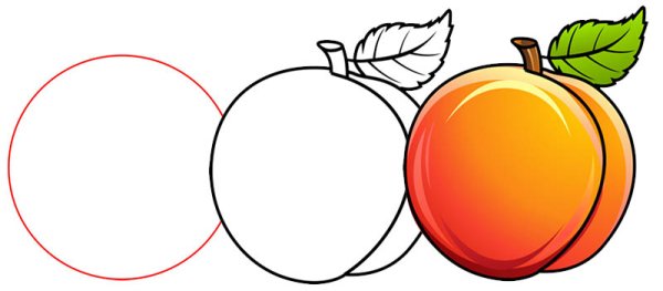 Поэтапное рисование персика