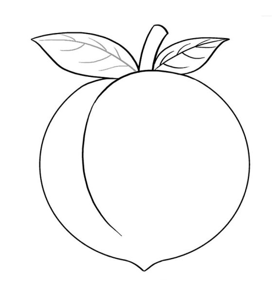 Персик контур