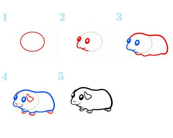 Поэтапное рисование хомячка
