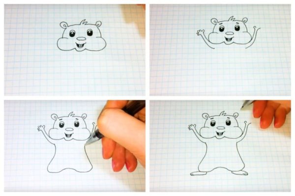 Как нарисовать хомяка поэтапно